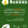 Curiosidade sobre a banana